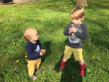 cas en sam blaasbloemen